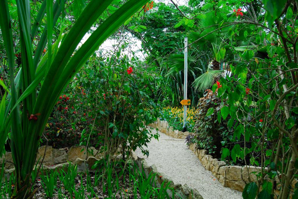 Hosteria Mandala Puerto López エクステリア 写真