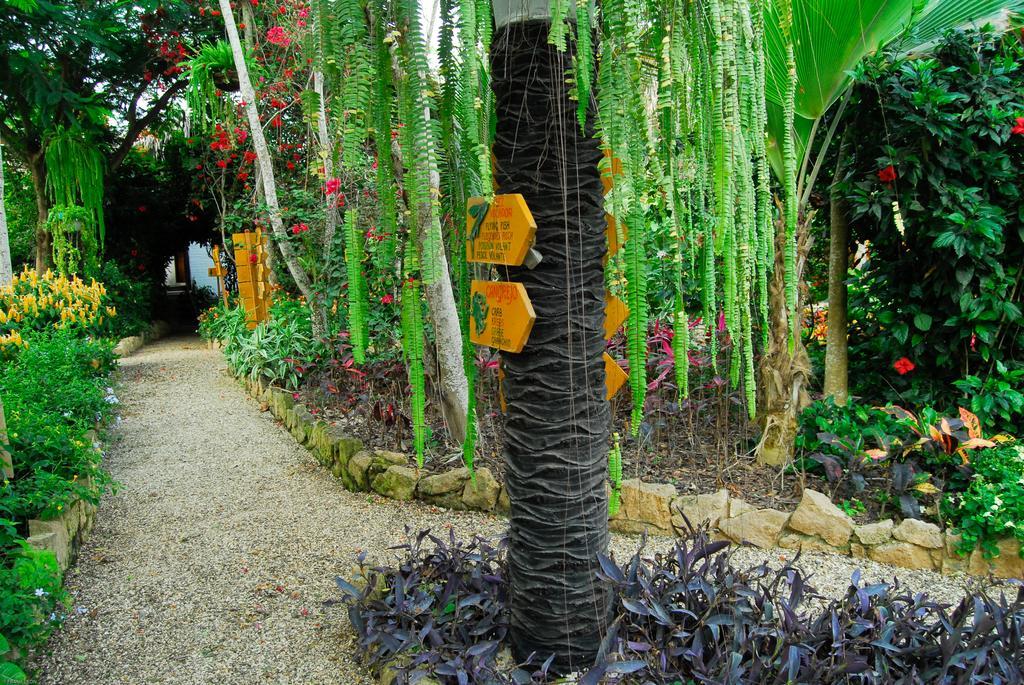 Hosteria Mandala Puerto López エクステリア 写真