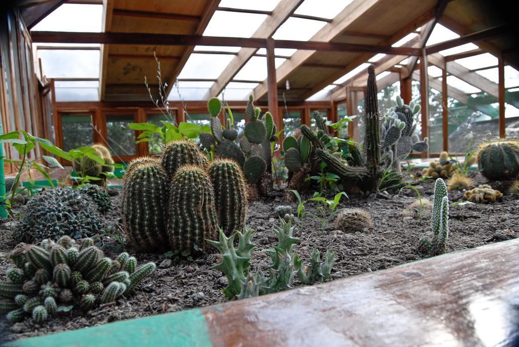 Hosteria Mandala Puerto López エクステリア 写真